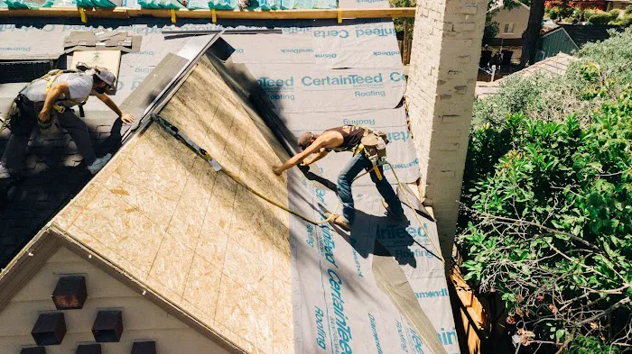 Triark Roofing Picture 8