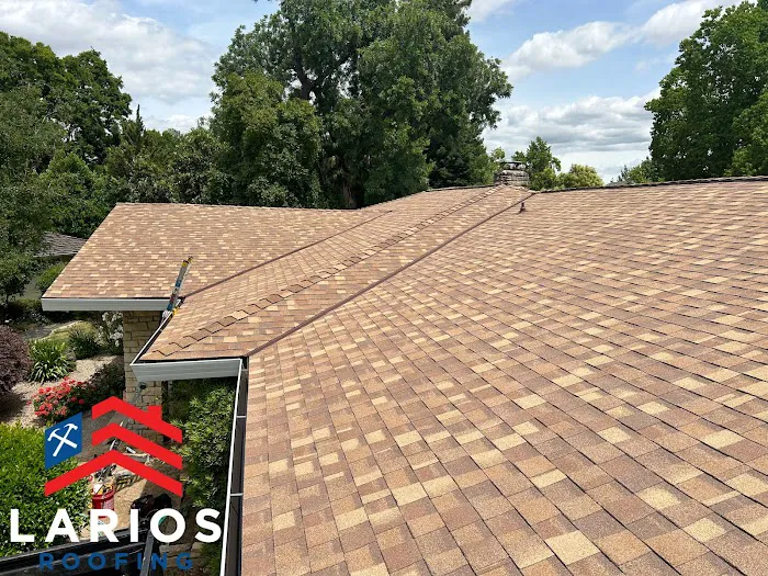 Larios Roofing Picture 2