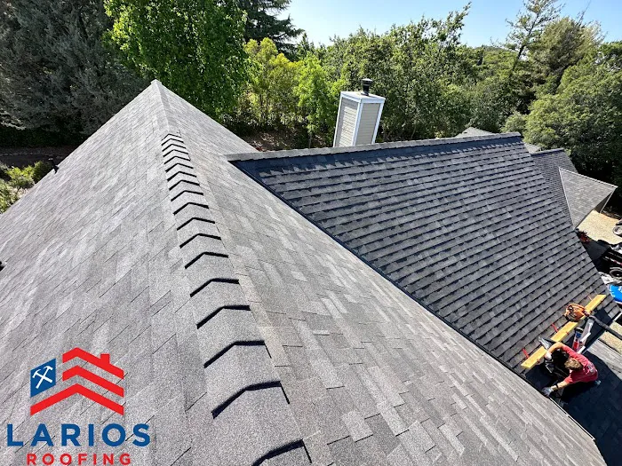 Larios Roofing Picture 3