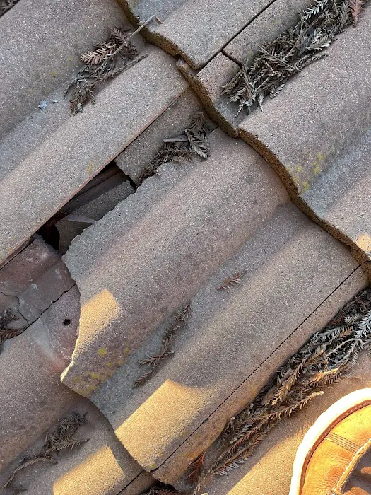Roof Doctors Sacramento County Picture 7