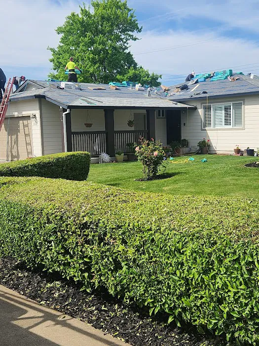 Signature Roofing Picture 3