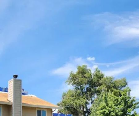 Morphe Roofing