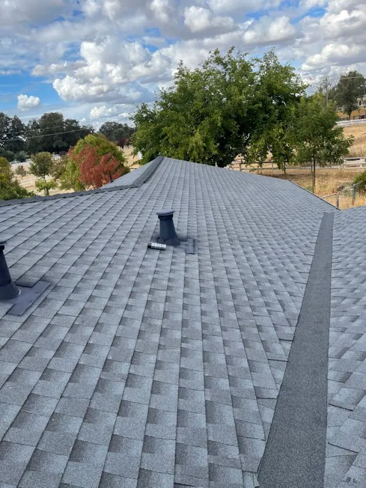 Morphe Roofing Picture 3