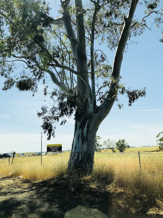 Petersen Weathershield Rofg Picture 1