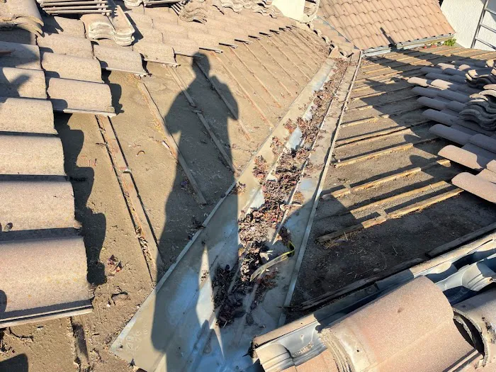 Roof Recovery Picture 5