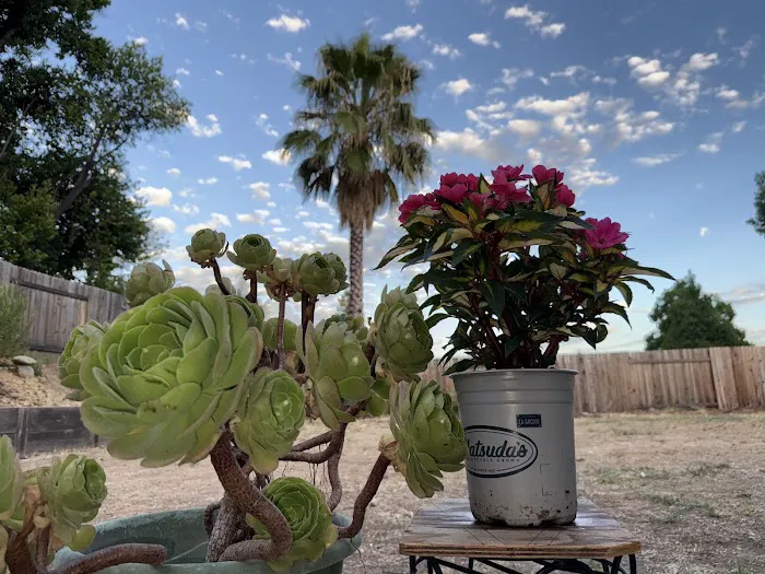 Galaxy Roofing - Lic. #696710 Picture 2