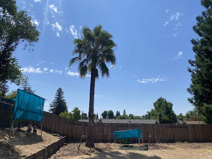 Galaxy Roofing - Lic. #696710 Picture 3