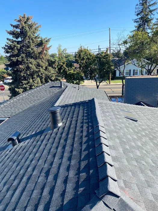 Gonzalez Roofing Picture 2
