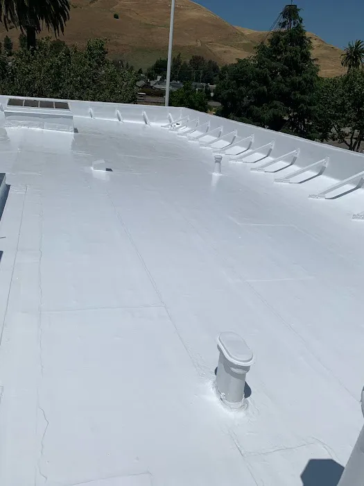 JM Roofing Solutions Picture 7