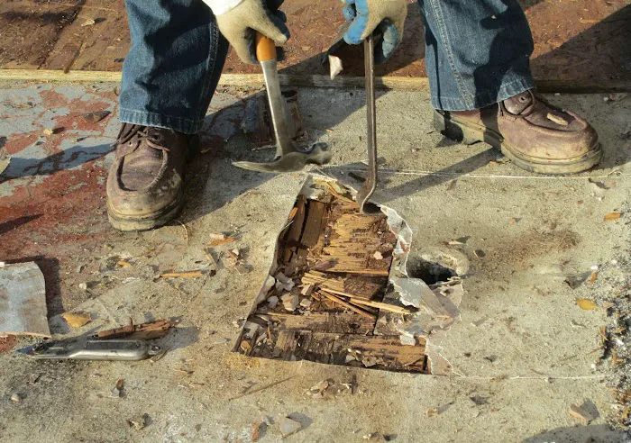 Ron Williams' Certified Roof & Inspection Picture 9