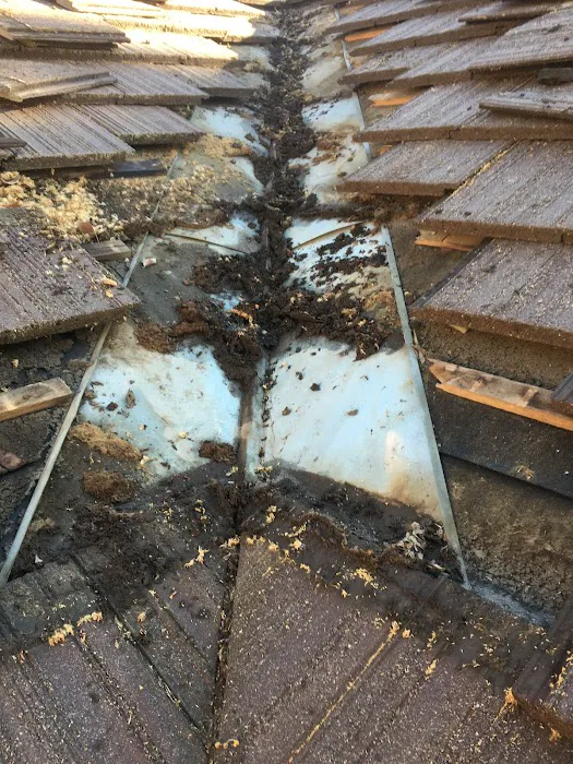 Superior Roofing Picture 3