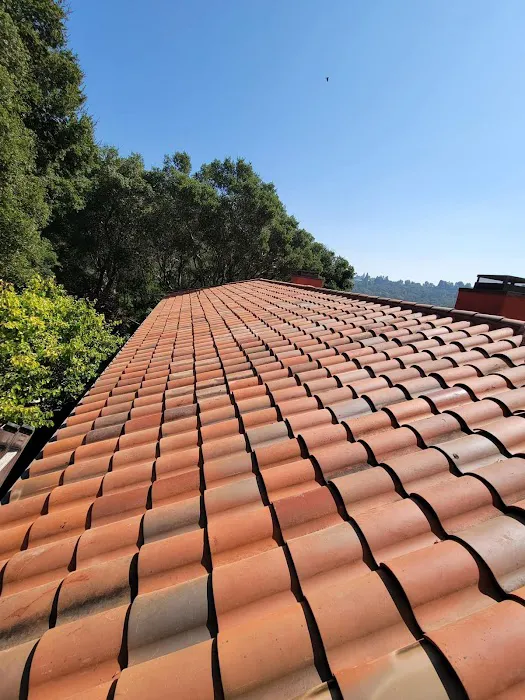 Rango Roofing Company Picture 7