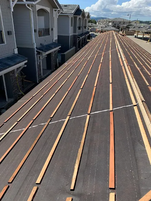 Rango Roofing Company Picture 4