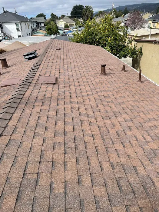 Rango Roofing Company Picture 10