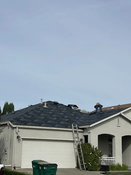 Avila Roofing Picture 2