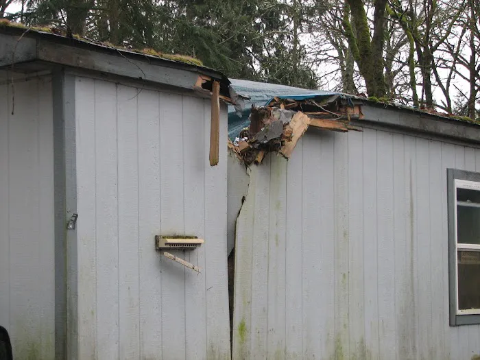 Armor Roofing Picture 3