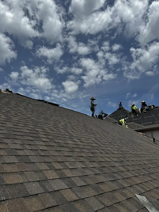 ROOFMAN Picture 6