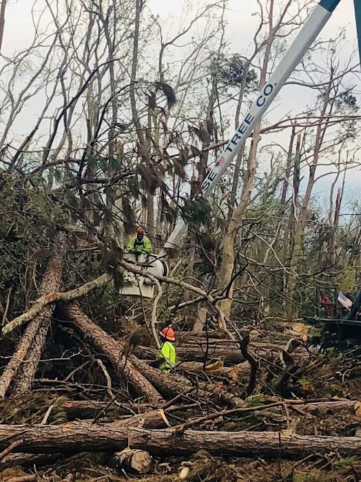 Rose Roofing & Tree Service Picture 5