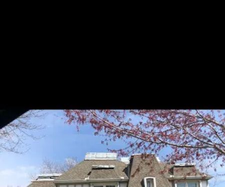 Moose Roofing Kansas City