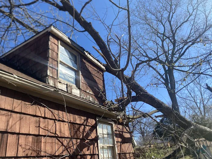 Family roofing llc Picture 5