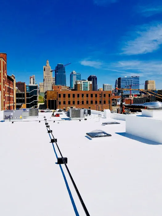 Goal 1 Roof Response Picture 1