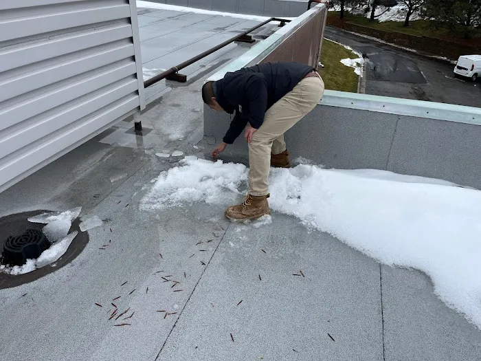 RoyCo Roofing Picture 9