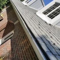 ASAP Construction and Roofing, LLC ico