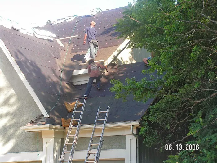 Dave Mann Restoration Picture 1