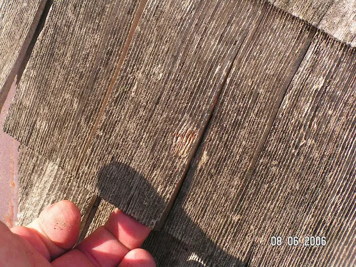 Dave Mann Restoration Picture 8