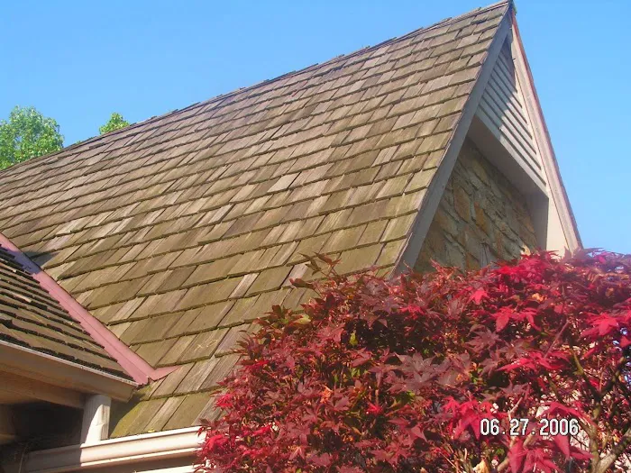 Dave Mann Restoration Picture 5