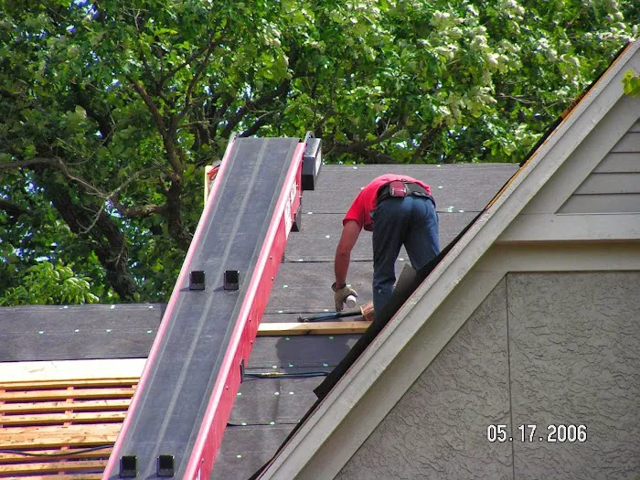 Dave Mann Restoration Picture 7