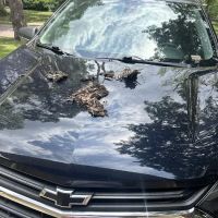 Ratliff Enterprises ico