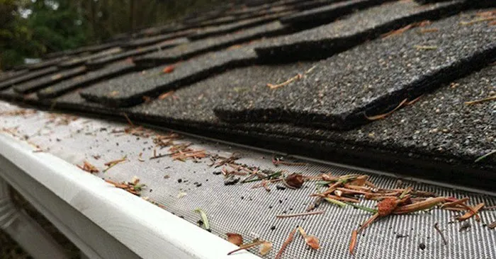 Nova Roofing & Restoration Picture 2