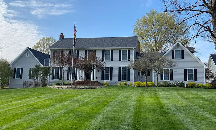 Buck Roofing & Construction LLC Picture 4