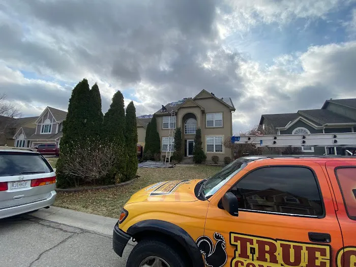 True Grit Roofing Company Picture 3