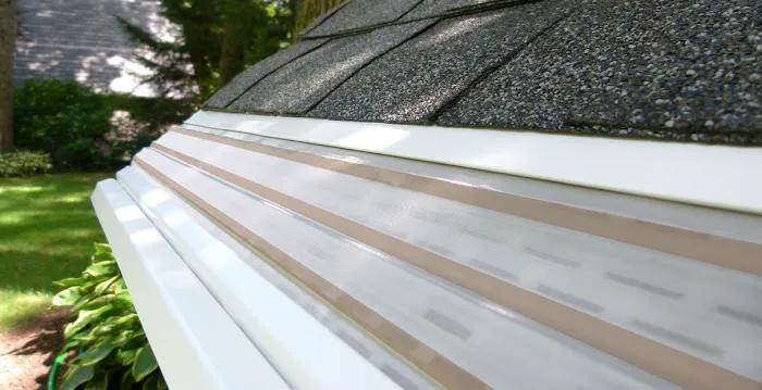 The Roofing Guys Picture 2