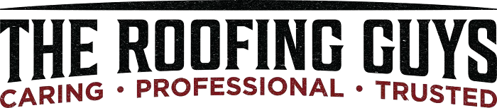 The Roofing Guys Picture 1