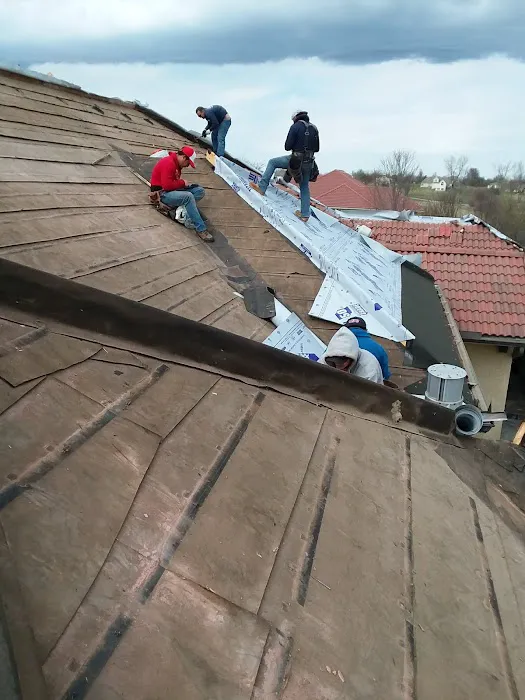 Roofing repairs, snow removal &home cleaning Picture 4