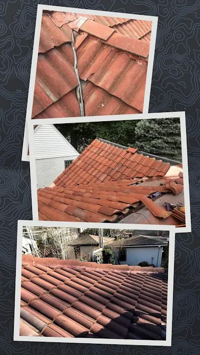 Roofing repairs, snow removal &home cleaning Picture 2