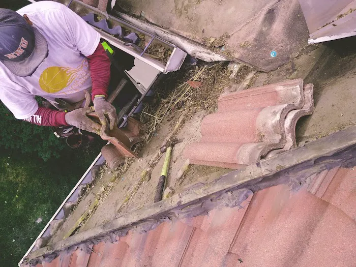 Roofing repairs, snow removal &home cleaning Picture 5