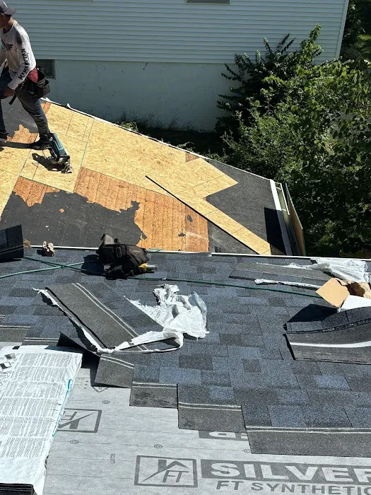 The Roof D LLC Picture 2