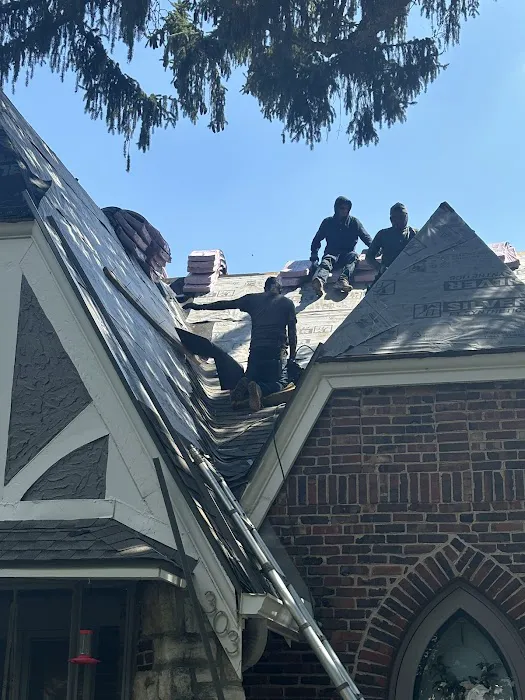 The Roof D LLC Picture 3