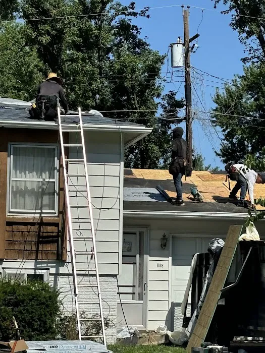 The Roof D LLC Picture 1