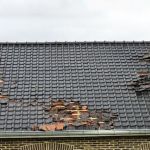 AAS Restoration & Roofing