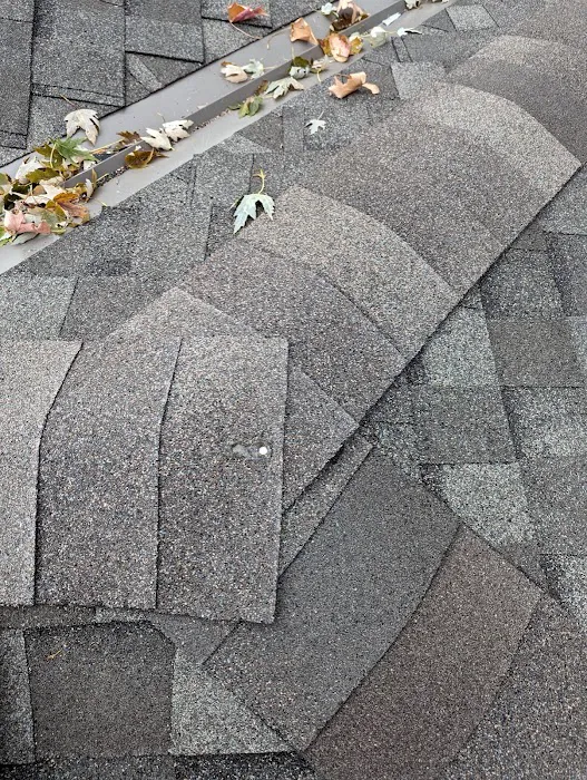 Premier Roofing Company Picture 5