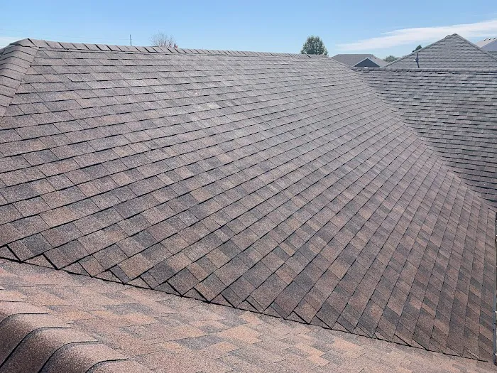 Sunday Roof Co Picture 2