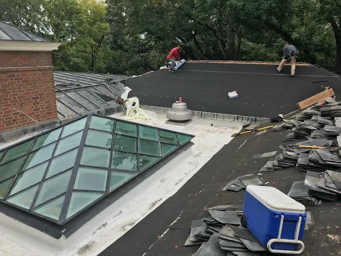 Sunday Roof Co Picture 8