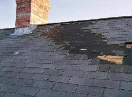 Express Roofing Inc. Picture 2