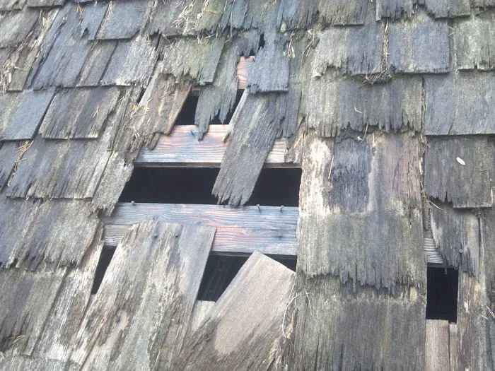 Express Roofing Inc. Picture 6