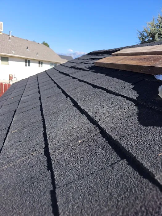 The Roof Warrior Picture 1